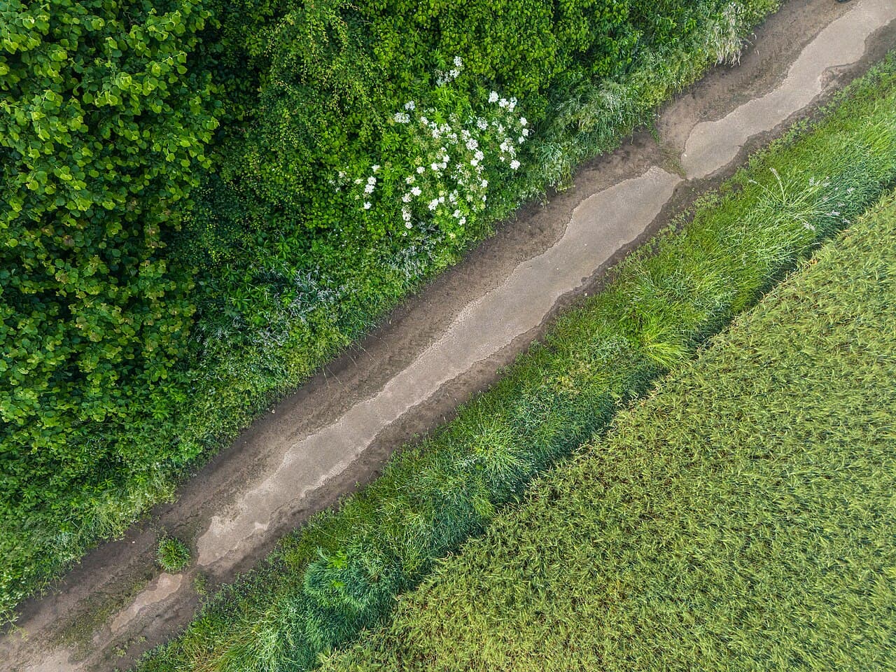 Georreferenciamento rural